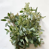 Load image into Gallery viewer, EUCALYPTUS SEEDED