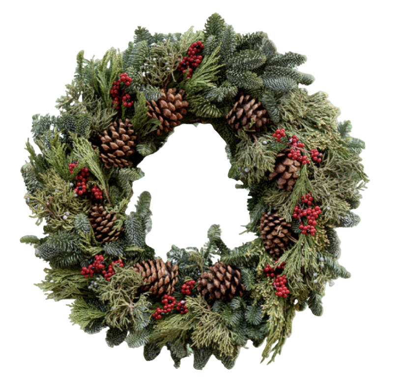 CANELLA MULTICONE WREATH - 24"
