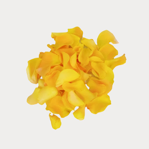 ROSE PETALS CREAM - bloombybunches