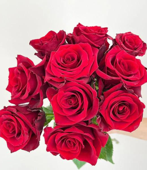 ECUADORIAN ROSES | BLOOM BY BUNCHES