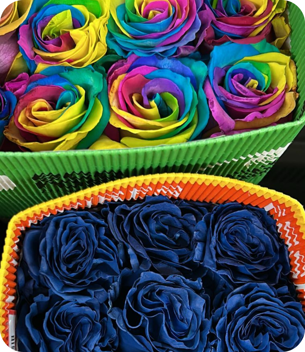 Tinted & Painted Roses