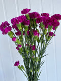 Load image into Gallery viewer, MINI CARNATIONS