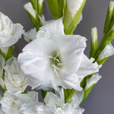 Load image into Gallery viewer, Gladiolus - White