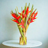 Load image into Gallery viewer, Birds of Paradise Tropical Flower