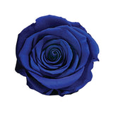 Load image into Gallery viewer, Ecuadorian Preserved Rose Blue - 6 units