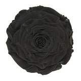 Load image into Gallery viewer, Ecuadorian Preserved Rose Black- 6 units