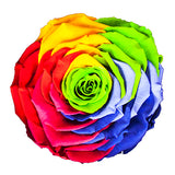 Load image into Gallery viewer, Multicolored rose with rainbow pattern on a white background