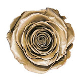 Load image into Gallery viewer, Ecuadorian Preserved Rose Metallic Gold - 6 units