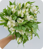 Load image into Gallery viewer, Alstroemerias