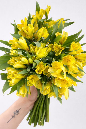 ALSTROEMERIA YELLOW