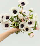 Load image into Gallery viewer, ANEMONE BLUSH WHITE