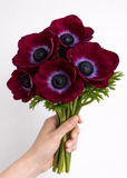 Load image into Gallery viewer, ANEMONE BURGUNDY