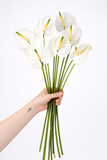 Load image into Gallery viewer, Anthurium White