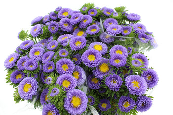 Lavender Matsumoto Aster flowers with yellow centers in a full, textured spray arrangement