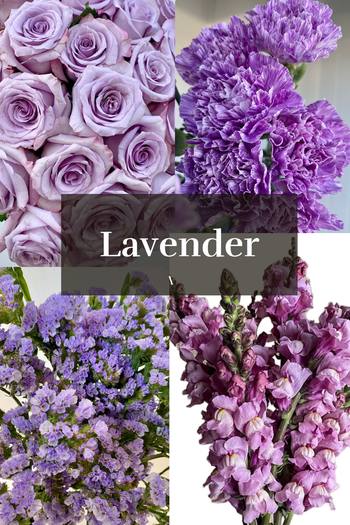 Lavender Combo Box with 50 lavender roses, 50 lavender carnations, 30 lavender snapdragons, and 30 lavender statice flowers in soft purple tones