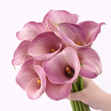 Load image into Gallery viewer, Calla Lily Standard Blush Pink