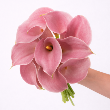 Calla Lily Mini Light Pink