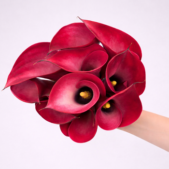 Calla Lily Mini Pink