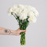 Load image into Gallery viewer, CARNATION WHITE