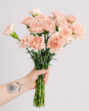 Load image into Gallery viewer, CARNATIONS PEACH