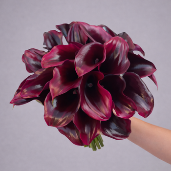 Calla Lily Mini Burgundy