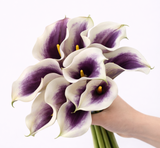 Load image into Gallery viewer, Calla Lily Standard White Purple