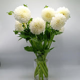 Load image into Gallery viewer, Fresh-cut white dahlias with intricate petals in a clear glass vase, perfect for gifting, weddings, and home decor