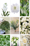 Load image into Gallery viewer, Timeless White &amp; Sage Collection Kit