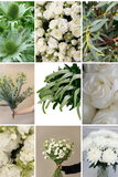 Load image into Gallery viewer, Luxury White &amp; Green Collection Kit