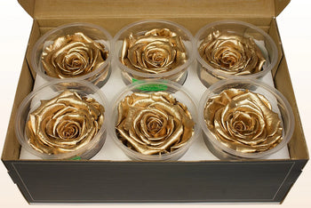 Set of six Ecuadorian preserved metallic gold roses in clear plastic containers inside a cardboard box