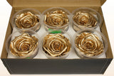 Load image into Gallery viewer, Set of six Ecuadorian preserved metallic gold roses in clear plastic containers inside a cardboard box