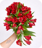 Load image into Gallery viewer, ALSTROEMERIA RED