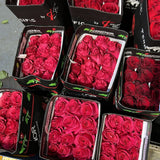 Load image into Gallery viewer, FREEDOM RED ROSES