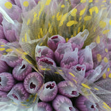 Load image into Gallery viewer, CHRYSANTHEMUM ANASTASIAS (SPIDER) PINK