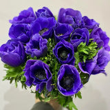 Load image into Gallery viewer, ANEMONE BLUE - Blue / 30-40CM / 10 - Fresh Cut Flowers