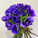 Load image into Gallery viewer, ANEMONE BLUE - Blue / 30-40CM / 10 - Fresh Cut Flowers