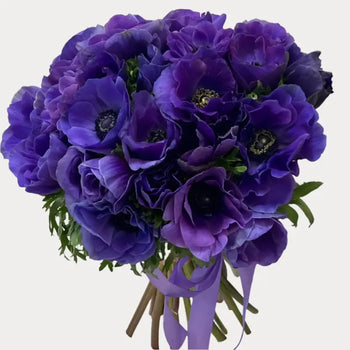 ANEMONE PURPLE - Purple / 30-40CM / 10 - Flowers