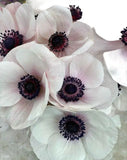 Load image into Gallery viewer, Close-up of White Anemone Petals- bloombybunches