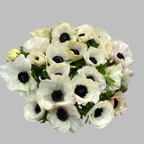 Load image into Gallery viewer, ANEMONE WHITE - White / 30-40CM / 10 - Fresh Cut Flowers
