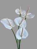 Load image into Gallery viewer, Anthurium White