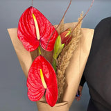 Load image into Gallery viewer, Anthurium Red - Red / 5 - Fresh Cut Flowers