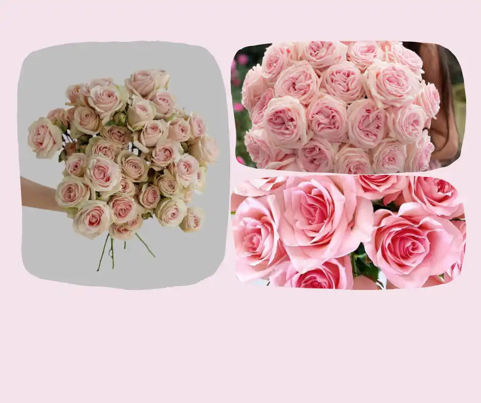 Arrangement of pink roses.