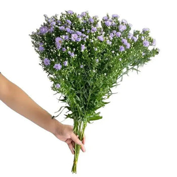 ASTER PURPLE Bouquet- bloombybunches.ca