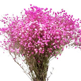 Load image into Gallery viewer, Bulk Hot Pink Baby&#39;s Breath (Gypsophila) Flower Filler for DIY Wedding Bouquets