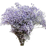 Load image into Gallery viewer, lavender Baby&#39;s Breath (Gypsophila) filler flower for DIY Wedding &amp; Events floral arrangements 