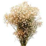 Load image into Gallery viewer, BABY&#39;S BREATH (GYPSOPHYILIA) ORANGE Bouquet 250g - bloombybunches