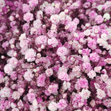 Load image into Gallery viewer, BABY&#39;S BREATH (GYPSOPHYILIA) PURPLE 250g - bloombybunches