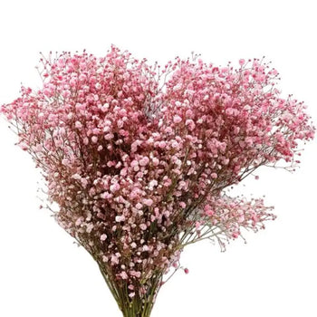 Bulk Red Baby's Breath (Gypsophila) Flower Filler for DIY Wedding Bouquets
