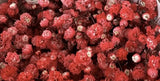 Load image into Gallery viewer, Close Up of BABY&#39;S BREATH (GYPSOPHYILIA) RED 250g - bloombybunches