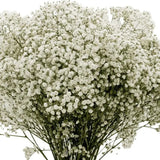 Load image into Gallery viewer, BABY&#39;S BREATH(GYPSOPHYILIA) - WHITE MILLION STAR (250g) - bloombybunches